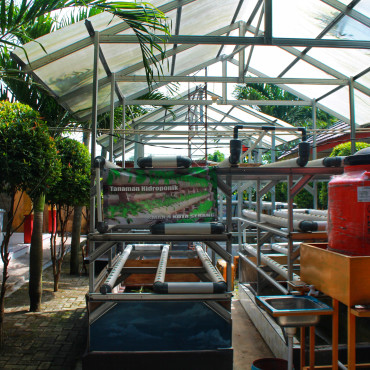 Taman Hidroponik